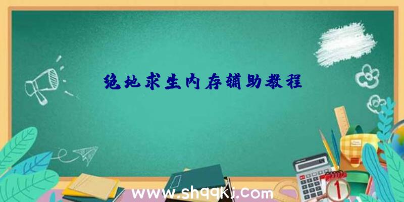 绝地求生内存辅助教程