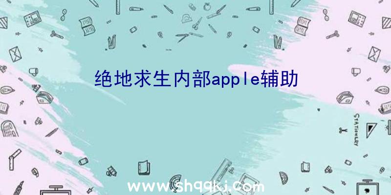 绝地求生内部apple辅助