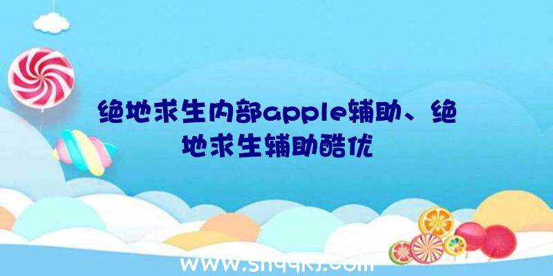 绝地求生内部apple辅助、绝地求生辅助酷优