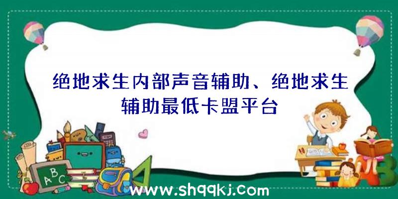 绝地求生内部声音辅助、绝地求生辅助最低卡盟平台