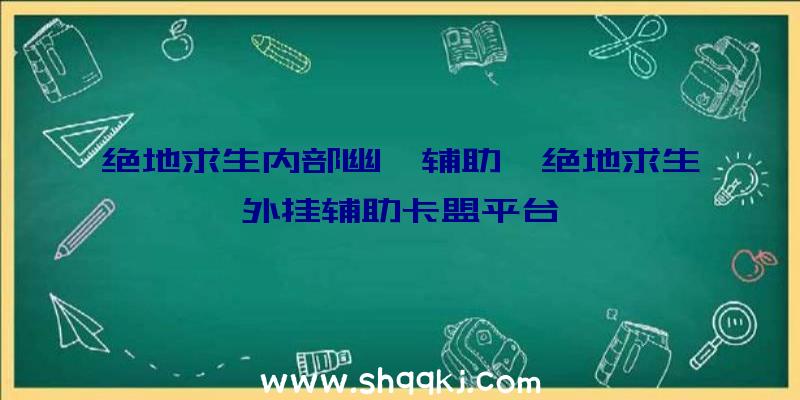 绝地求生内部幽冥辅助、绝地求生外挂辅助卡盟平台