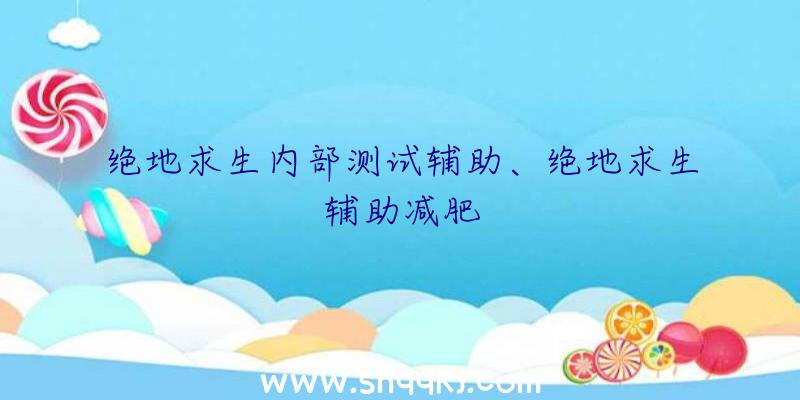 绝地求生内部测试辅助、绝地求生辅助减肥