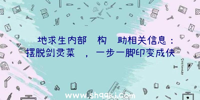 绝地求生内部结构辅助相关信息：摆脱剑灵菜鸟，一步一脚印变成侠客