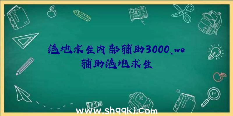 绝地求生内部辅助3000、we辅助绝地求生