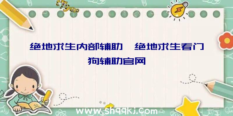 绝地求生内部辅助、绝地求生看门狗辅助官网