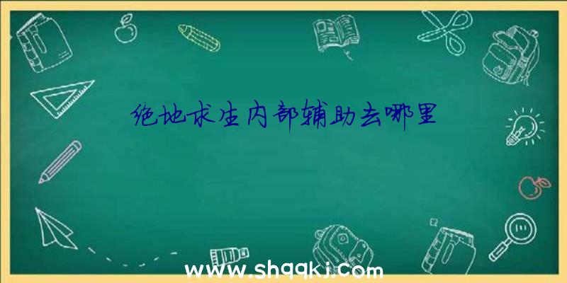 绝地求生内部辅助去哪里