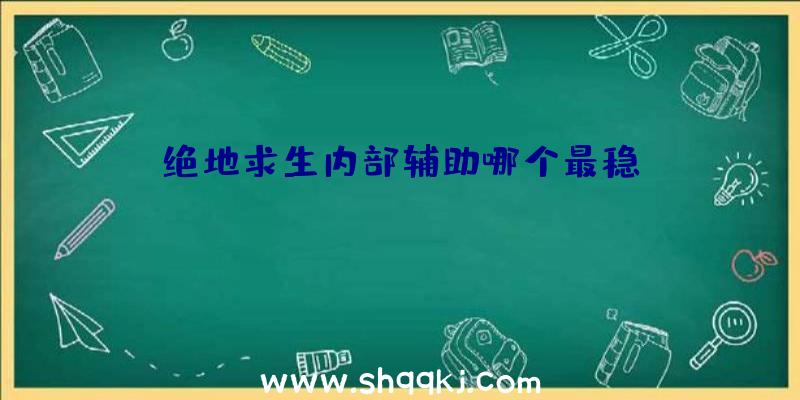 绝地求生内部辅助哪个最稳