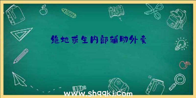 绝地求生内部辅助外卖