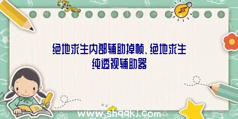 绝地求生内部辅助掉帧、绝地求生纯透视辅助器