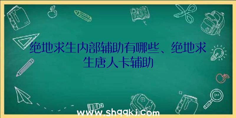 绝地求生内部辅助有哪些、绝地求生唐人卡辅助