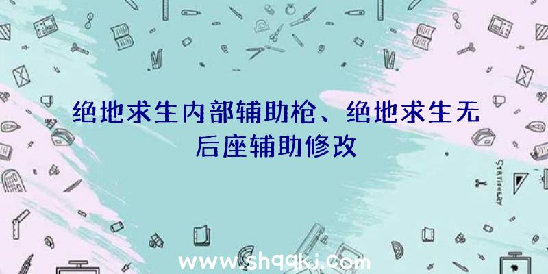 绝地求生内部辅助枪、绝地求生无后座辅助修改