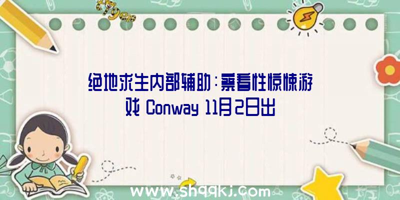 绝地求生内部辅助：察看性惊悚游戏《Conway》11月2日出售今朝Steam已上线试玩版