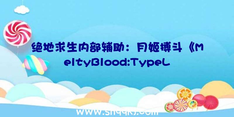 绝地求生内部辅助：月姬搏斗《MeltyBlood:TypeLumina》截图每个脚色都有10种配色