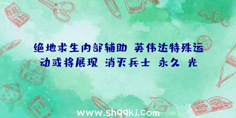 绝地求生内部辅助：英伟达特殊运动或将展现《消灭兵士：永久》光追版：天堂从未如斯明晰