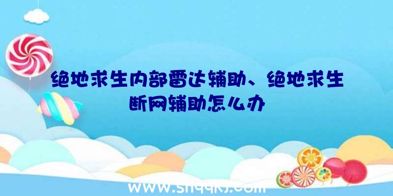 绝地求生内部雷达辅助、绝地求生断网辅助怎么办