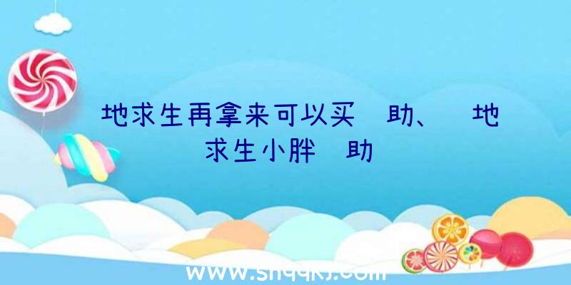 绝地求生再拿来可以买辅助、绝地求生小胖辅助