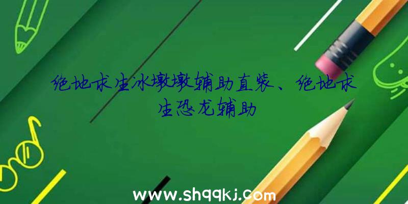 绝地求生冰墩墩辅助直装、绝地求生恐龙辅助