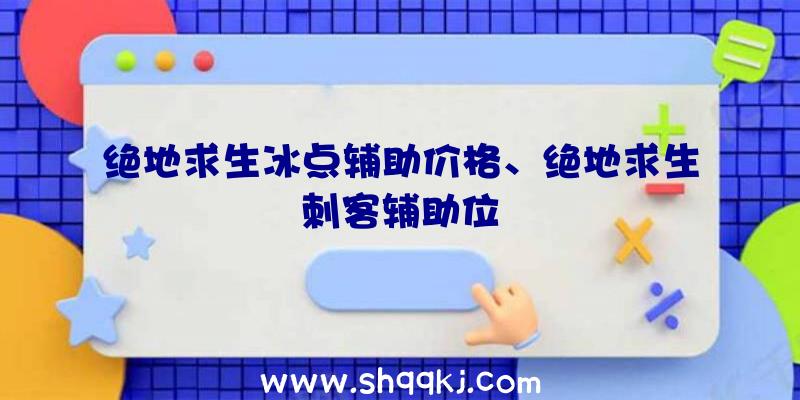 绝地求生冰点辅助价格、绝地求生刺客辅助位