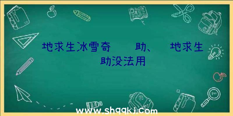 绝地求生冰雪奇缘辅助、绝地求生辅助没法用