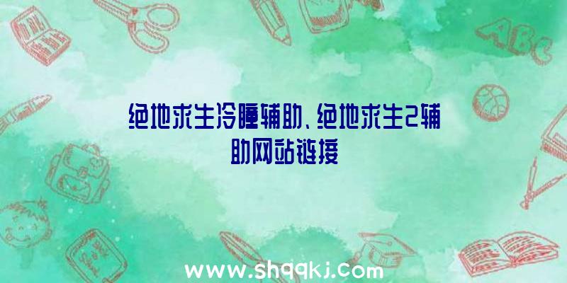 绝地求生冷瞳辅助、绝地求生2辅助网站链接