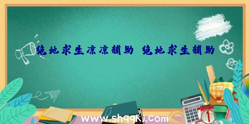 绝地求生凉凉辅助、绝地求生辅助xi