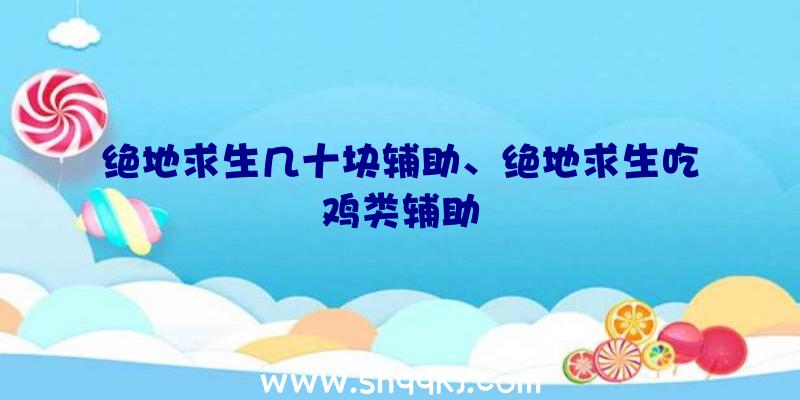 绝地求生几十块辅助、绝地求生吃鸡类辅助