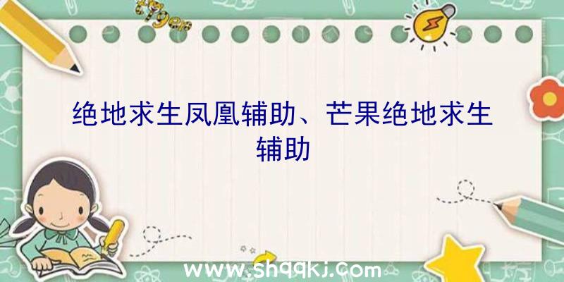 绝地求生凤凰辅助、芒果绝地求生辅助