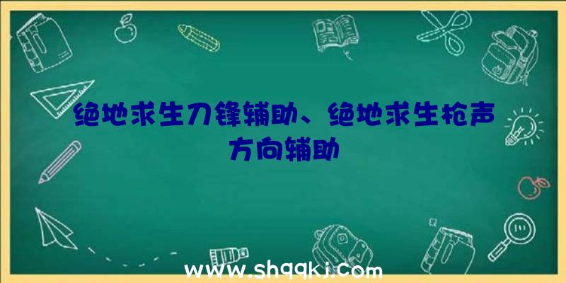 绝地求生刀锋辅助、绝地求生枪声方向辅助