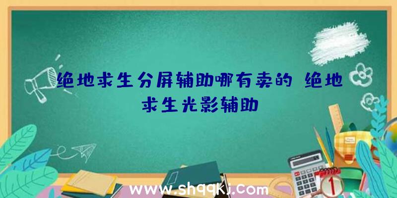 绝地求生分屏辅助哪有卖的、绝地求生光影辅助