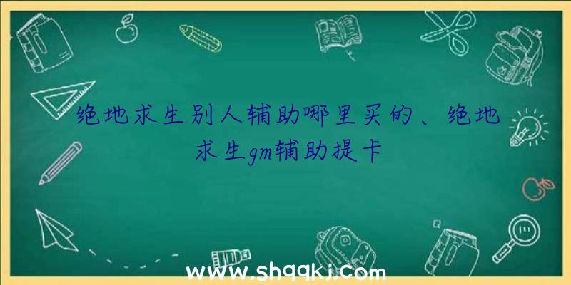 绝地求生别人辅助哪里买的、绝地求生gm辅助提卡