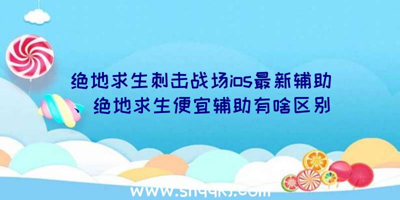 绝地求生刺击战场ios最新辅助、绝地求生便宜辅助有啥区别