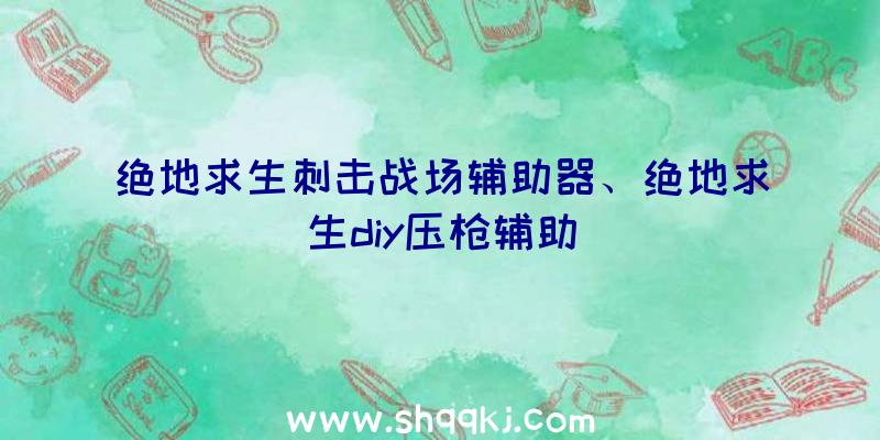 绝地求生刺击战场辅助器、绝地求生diy压枪辅助