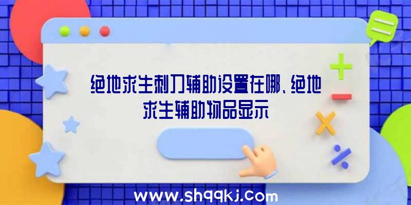 绝地求生刺刀辅助设置在哪、绝地求生辅助物品显示