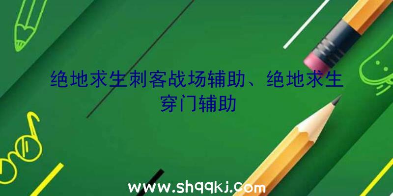 绝地求生刺客战场辅助、绝地求生穿门辅助