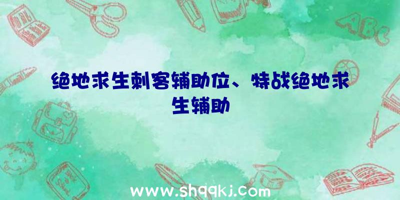 绝地求生刺客辅助位、特战绝地求生辅助