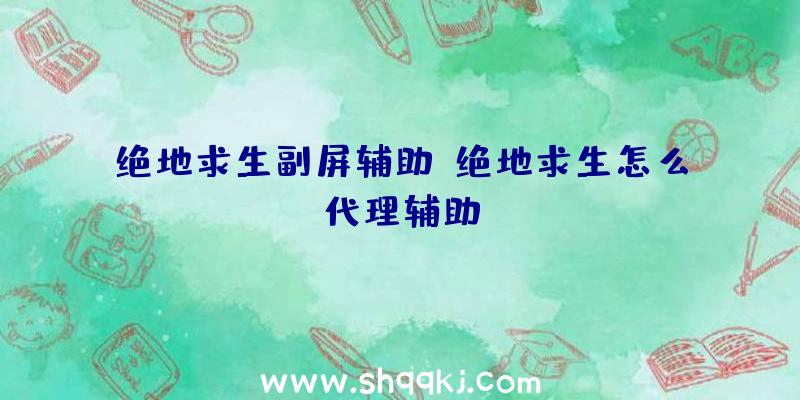 绝地求生副屏辅助、绝地求生怎么代理辅助