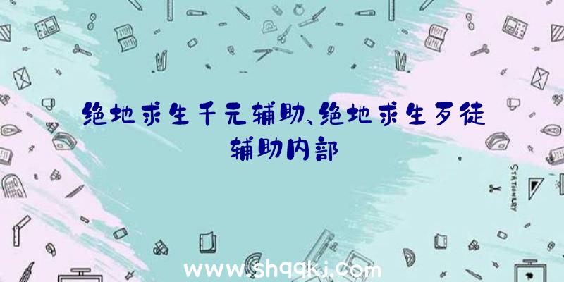 绝地求生千元辅助、绝地求生歹徒辅助内部