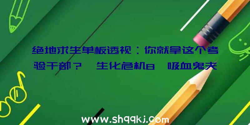 绝地求生单板透视：你就拿这个考验干部？《生化危机8》吸血鬼夫人清冷黑丝吊带MOD