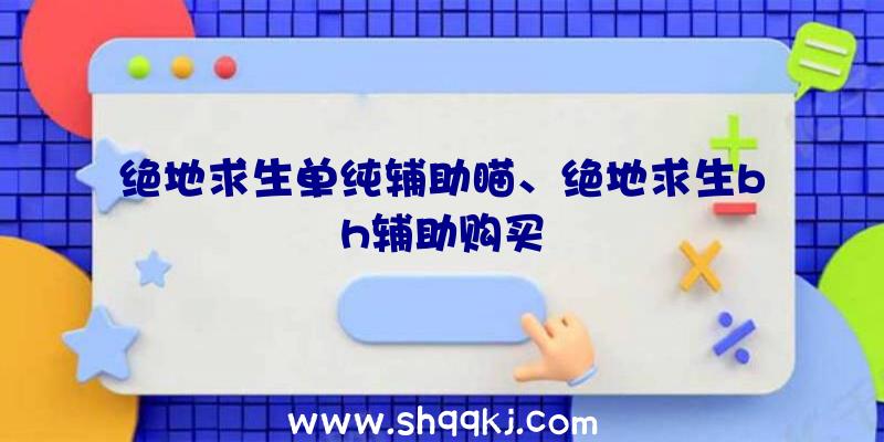 绝地求生单纯辅助瞄、绝地求生bh辅助购买