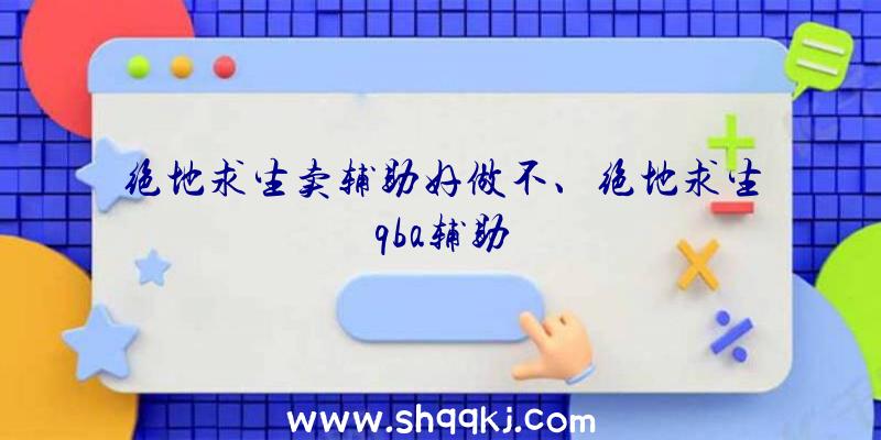 绝地求生卖辅助好做不、绝地求生qba辅助