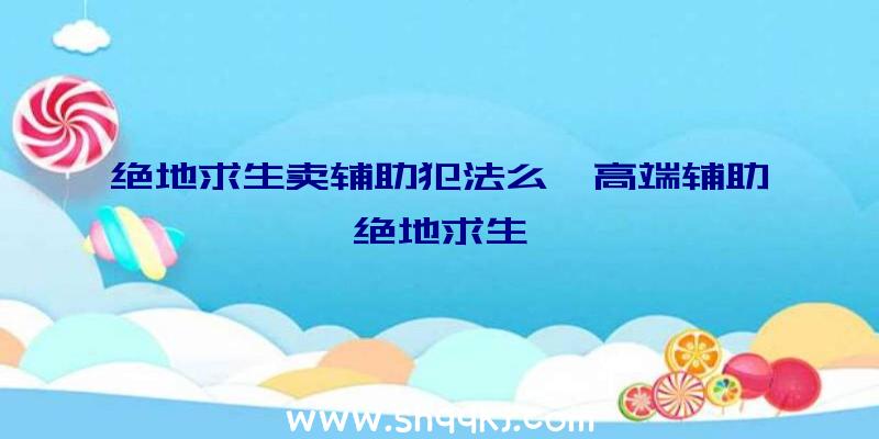 绝地求生卖辅助犯法么、高端辅助绝地求生