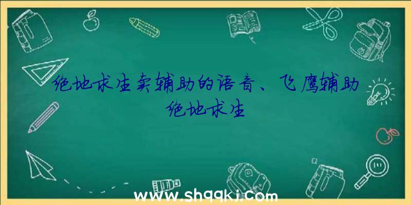 绝地求生卖辅助的语音、飞鹰辅助绝地求生