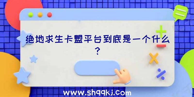 绝地求生卡盟平台到底是一个什么？