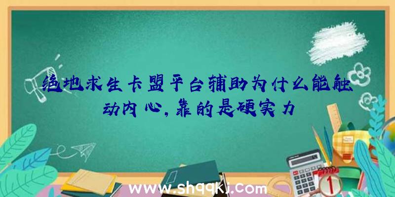 绝地求生卡盟平台辅助为什么能触动内心，靠的是硬实力