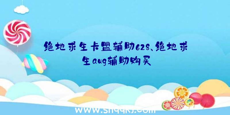 绝地求生卡盟辅助628、绝地求生aug辅助购买