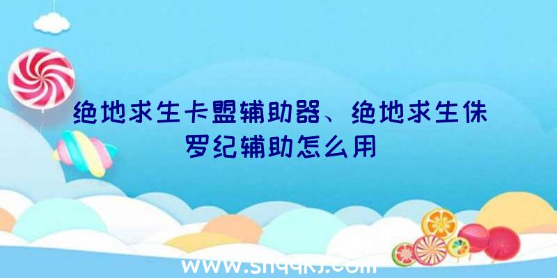 绝地求生卡盟辅助器、绝地求生侏罗纪辅助怎么用