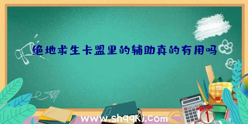 绝地求生卡盟里的辅助真的有用吗？