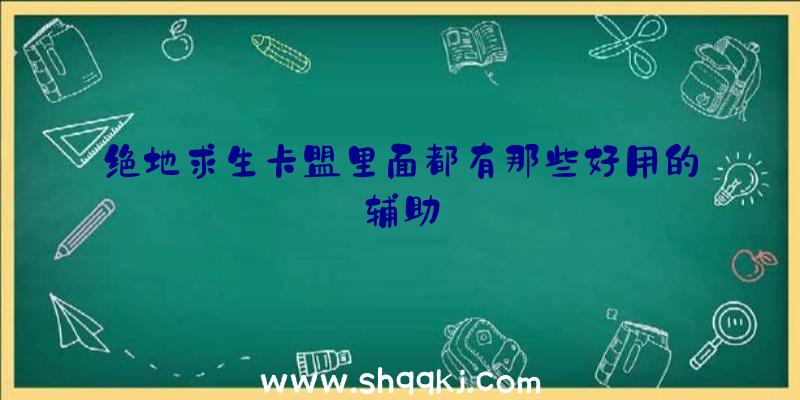 绝地求生卡盟里面都有那些好用的辅助