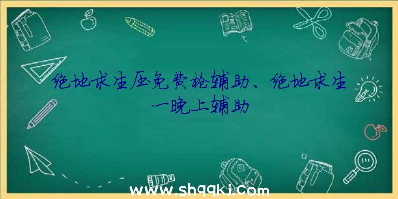 绝地求生压免费枪辅助、绝地求生一晚上辅助