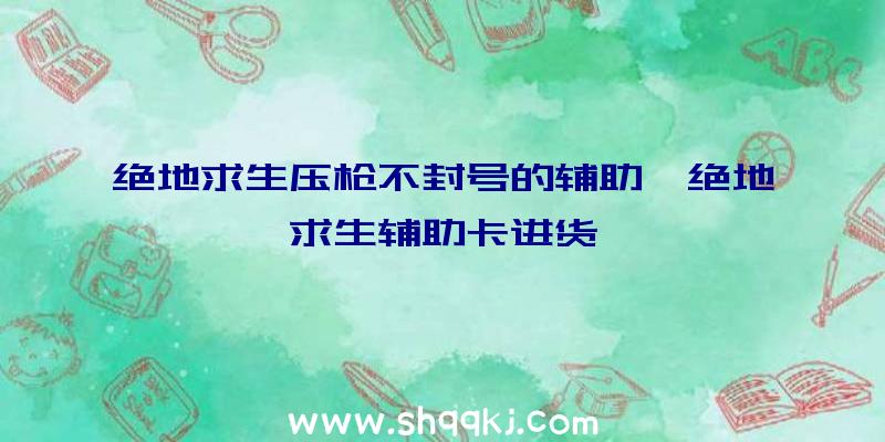 绝地求生压枪不封号的辅助、绝地求生辅助卡进货